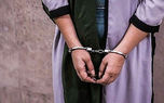 2 زن هنجارشکن کلیپ‌ جنجالی تجریش بازداشت شدند (عکس)
